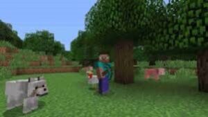 Minecraft 1.21.31 3