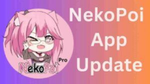 Nekopoi 1