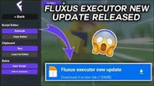 Fluxus Executor 4