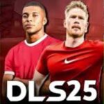 DLS-25-icons